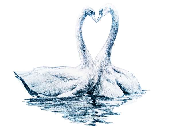 Fest der Liebe vom 23. – 25. Juni 2017